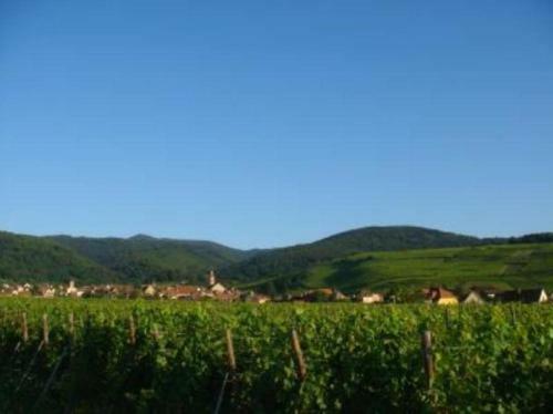Apartamento Vue Sur Vignes