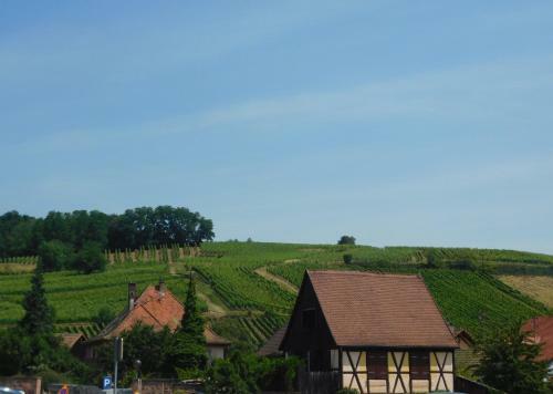 Apartamento Riesling - Vue Imprenable Sur Le Vignoble