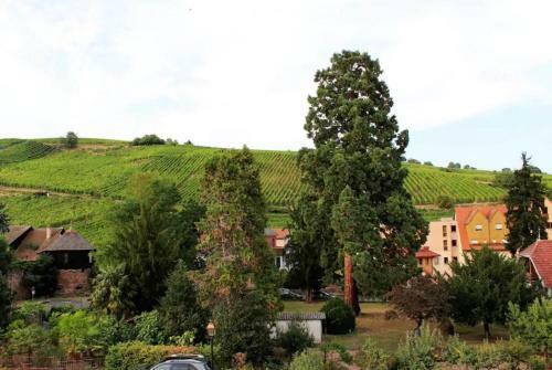 Apartamento La Maison Des Vendangeurs