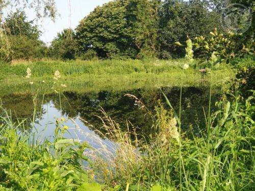 G�te Romeries, 3 Pi�ces, 4 Personnes - Fr-1-510-146