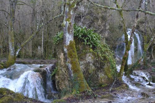 Les Divines Cascades