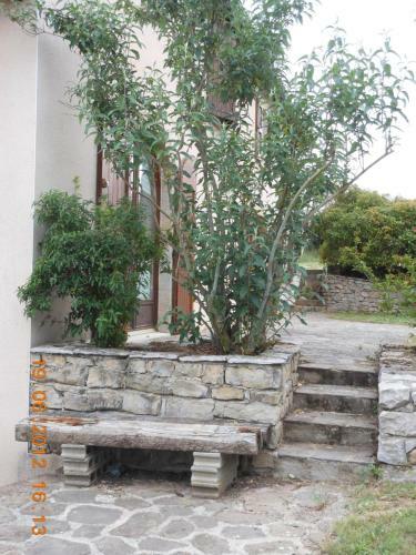 La Jasse De Blayac