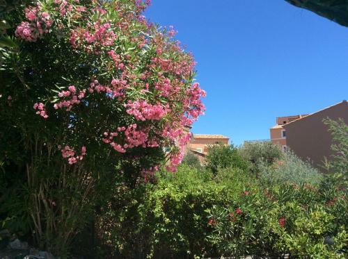 Apartamento Varazur Les Issambres