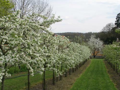 Bed & Breakfast Domaine De Scipion