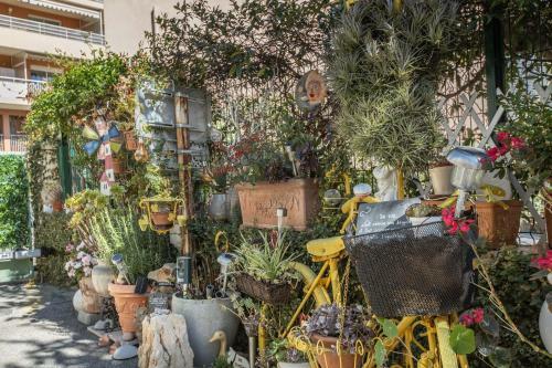 Apartamento ,,la Chaumi�re D?azur?