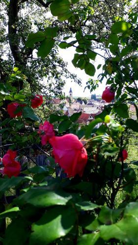 Bed & Breakfast Chambres D'h�tes "la Petite Vall�e"