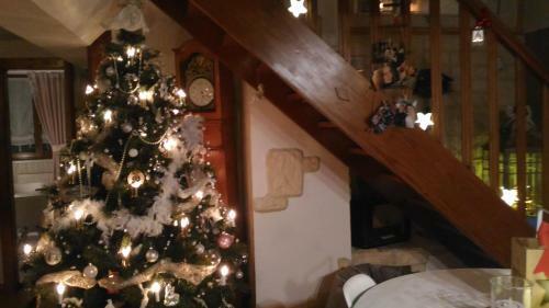 Bed & Breakfast Cour Sud