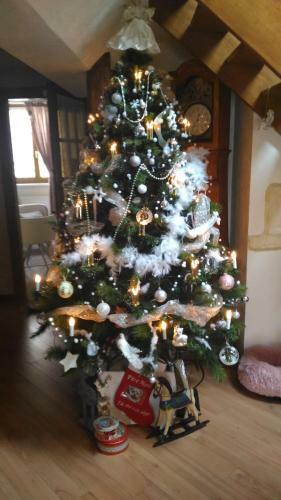 Bed & Breakfast Cour Sud