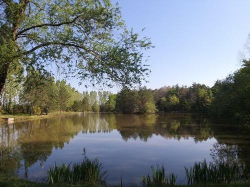 Bed & Breakfast Roulottes Du Chalet Des Pins