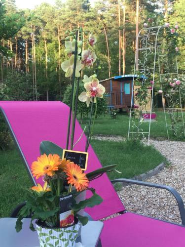 Bed & Breakfast Roulottes Du Chalet Des Pins