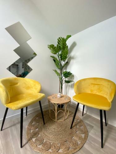 Apartamento Ng Suite Home Cassel Lille