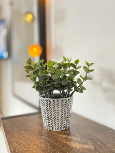 Apartamento Ng Suite Home Cassel Lille