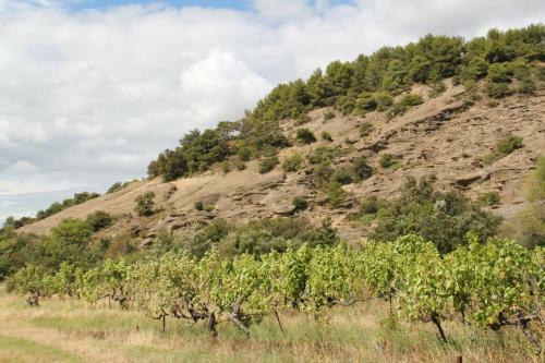 Apartamento Eco G�te Dans Les Vignes