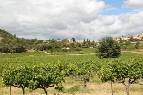 Apartamento Eco G�te Dans Les Vignes