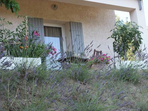 Bed & Breakfast Une Ronce Sous Le Figuier