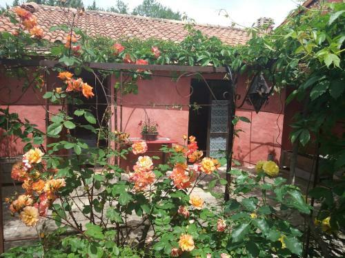 Maisonnette La M�dievale Du Lub�ron