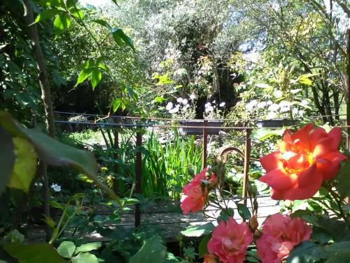 Maisonnette La M�dievale Du Lub�ron