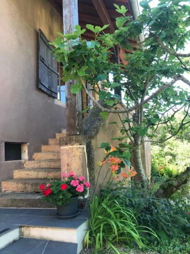 Bed & Breakfast Chez Sylvie Et Thierry