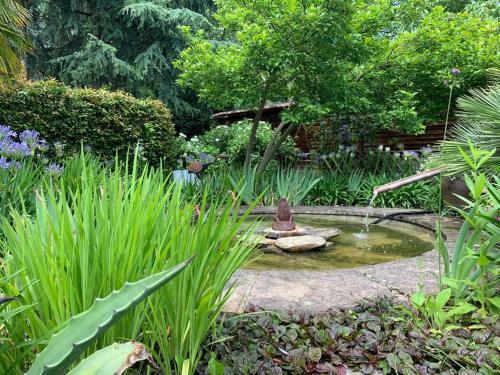 Grande Maison En Pierre, Calme, Jardin Arbor�.