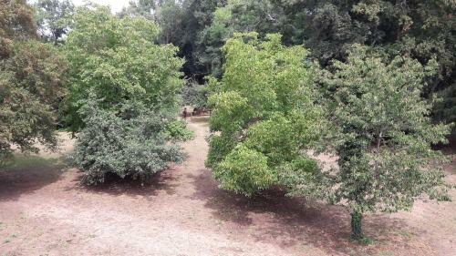 Bed & Breakfast Le Petit Plessis