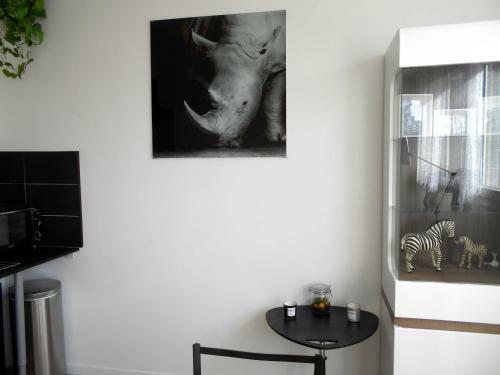 Apartamento Africa Studio