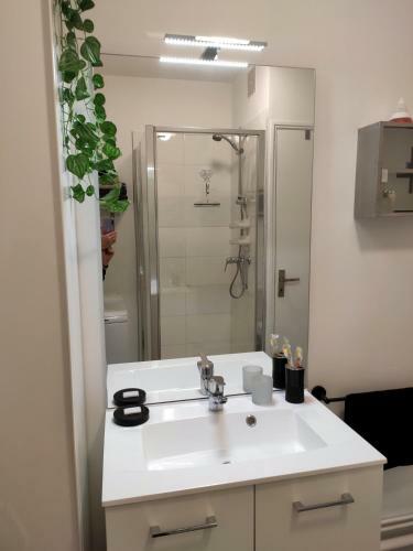 Apartamento Africa Studio