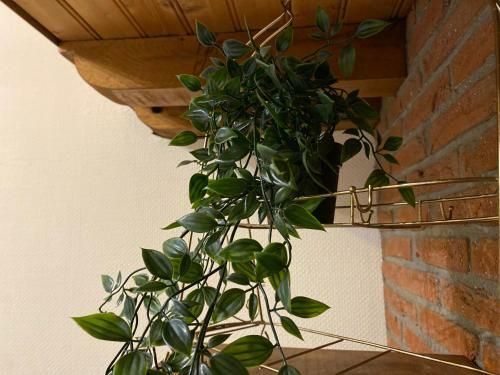 Apartamento Le Chalet Rouennais