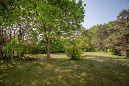 Apartamento Mosa�que