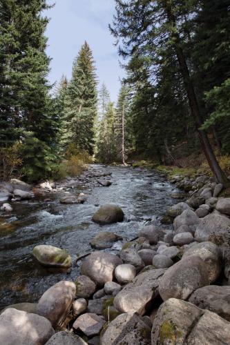 Hotel Marriott's Streamside Douglas At Vail