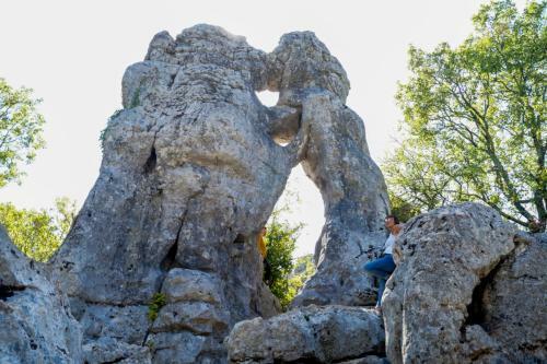 Les Locs Du Grazel