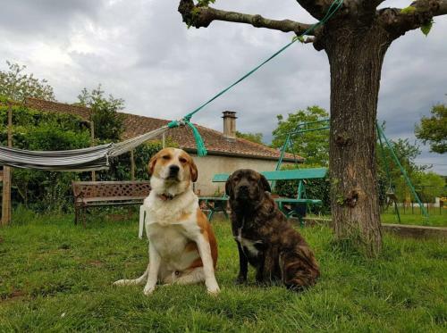 G�te En Sud Ard�che