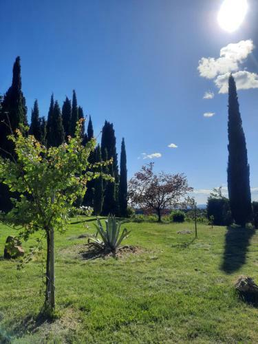Apartamento Les Deux Tilleuls