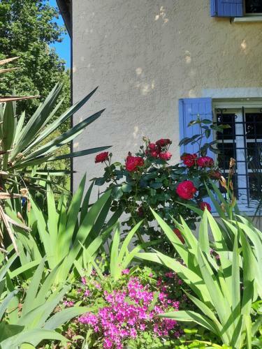 Apartamento Les Deux Tilleuls