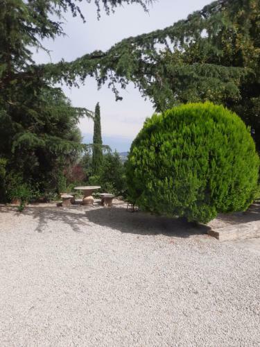 Apartamento Les Deux Tilleuls