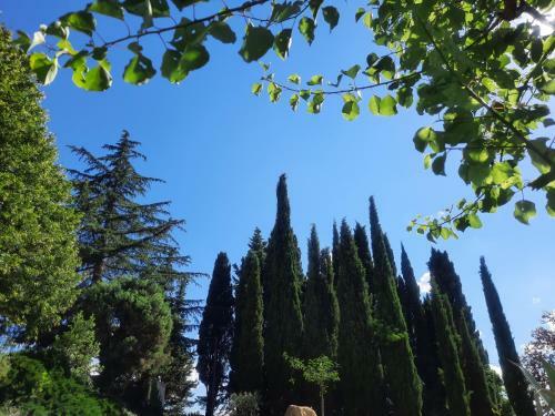 Apartamento Le G�te Calluna