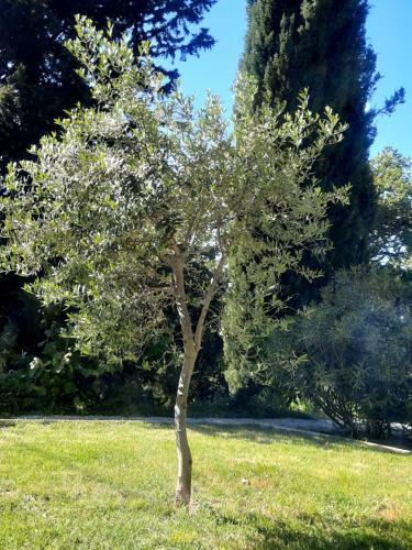 Apartamento Le G�te Calluna