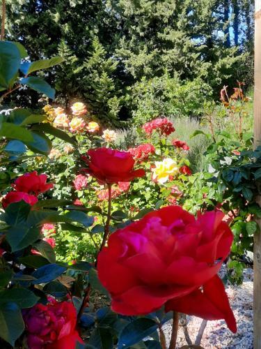 Apartamento Le G�te Calluna