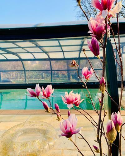 Bed & Breakfast Duplex Avec Piscine Et Ext�rieur