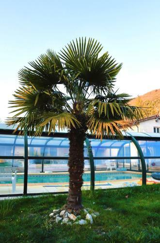 Bed & Breakfast Duplex Avec Piscine Et Ext�rieur