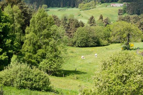 Bed & Breakfast Le Moulin Malin