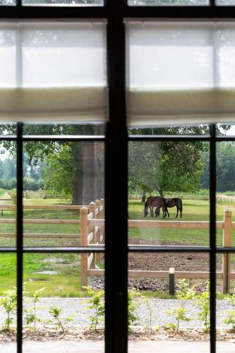 Hotel Haras De Barry