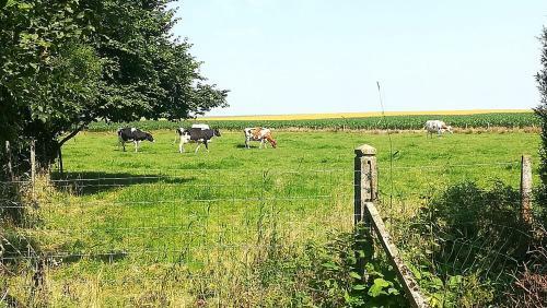 Maison � La Campagne,� Saint-amand, Pas-de-calais