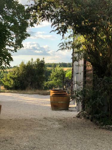 Le G�te De La Maison Des Chats