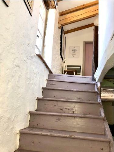 Le G�te De La Maison Des Chats