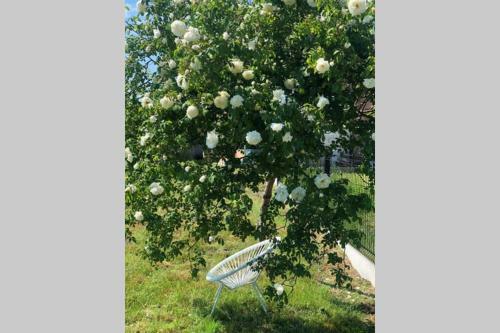 Cottage L'echapp�e Belle