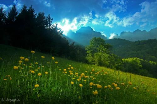 Les Chalets De Pr� Clos En Vercors