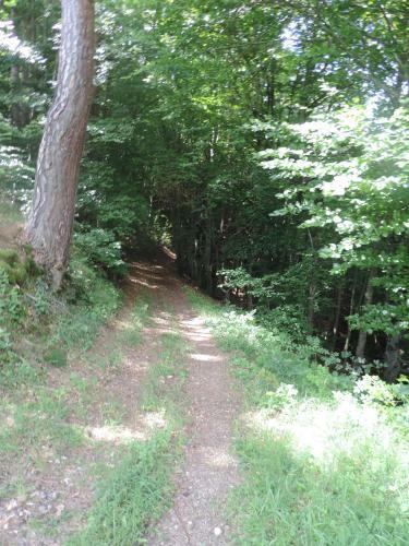 Gite De Montager Saint Andr� De Chalencon