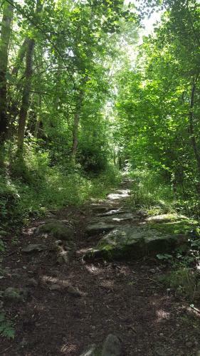 Gite De Montager Saint Andr� De Chalencon