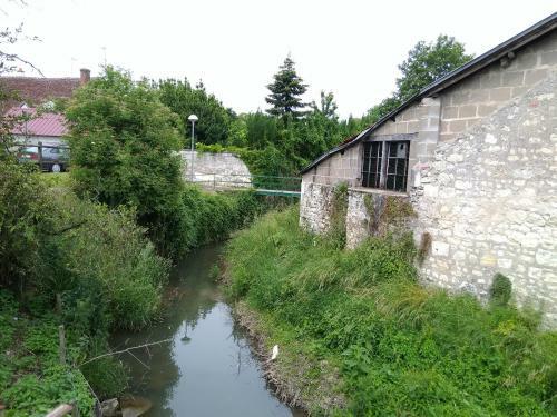 La Tribu De Beauval