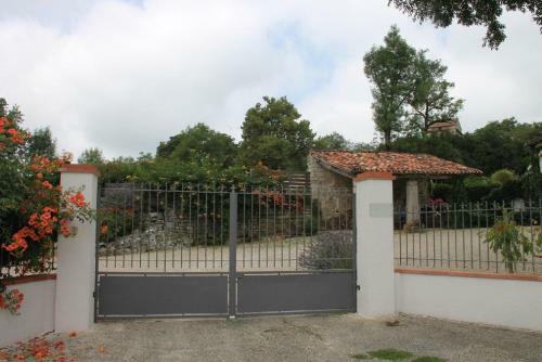 Les Campsis
